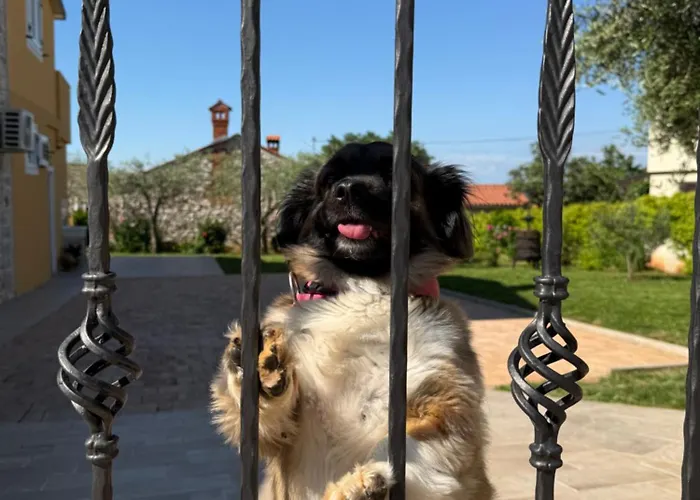 Lea, Apartment Cepljani